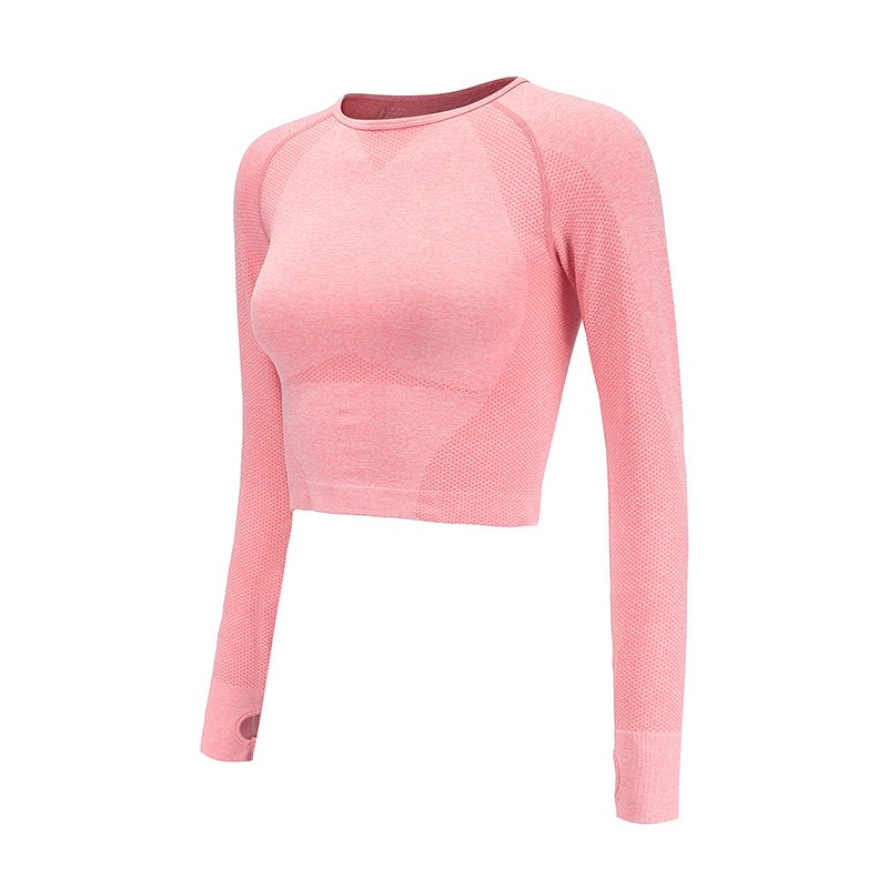 Seamless Long-Sleeve Crop Top